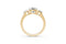 Fancy Round Diamond Ring — 18K Yellow Gold , view 1