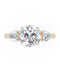 Fancy Round Diamond Ring — 18K Yellow Gold , view 3
